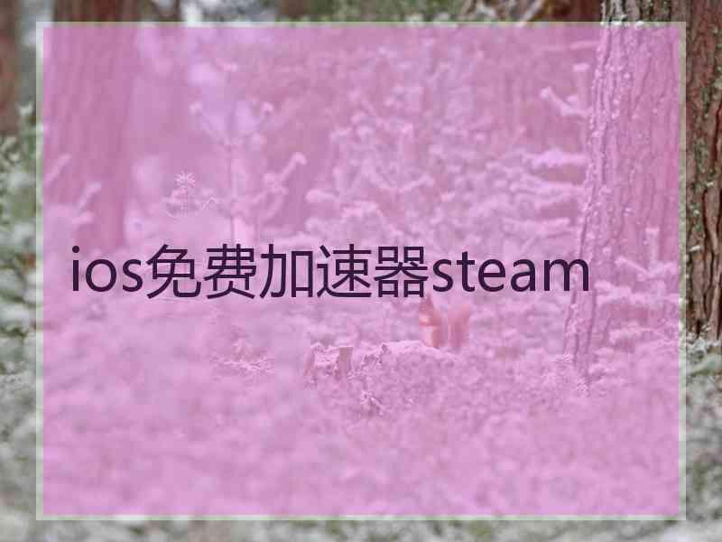 ios免费加速器steam