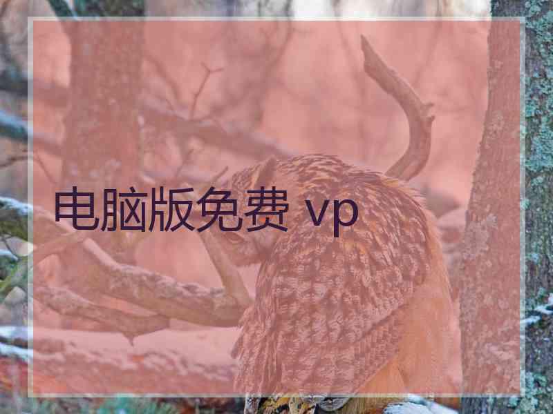 电脑版免费 vp