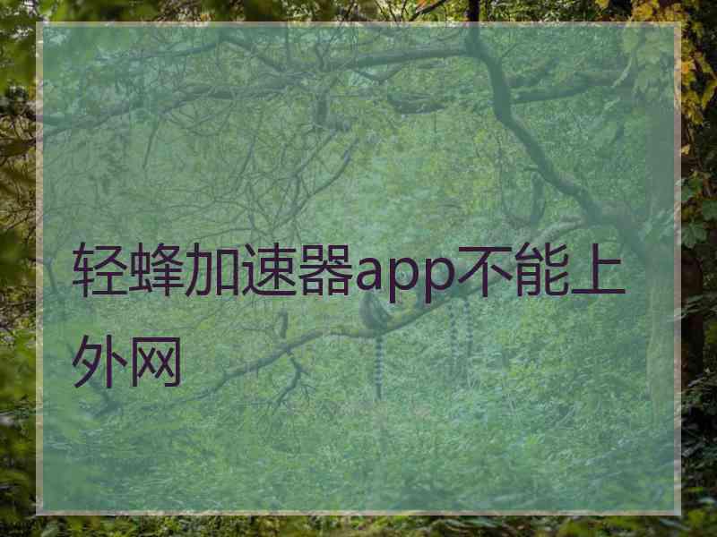 轻蜂加速器app不能上外网