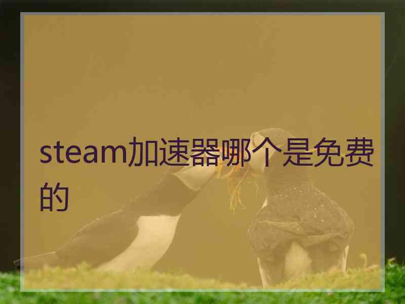 steam加速器哪个是免费的