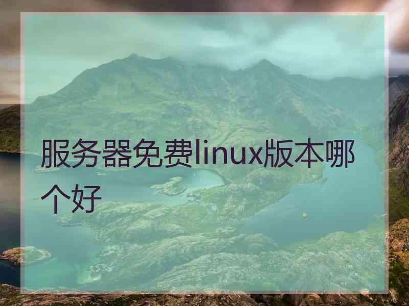 服务器免费linux版本哪个好