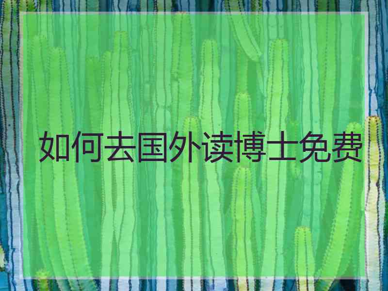 如何去国外读博士免费