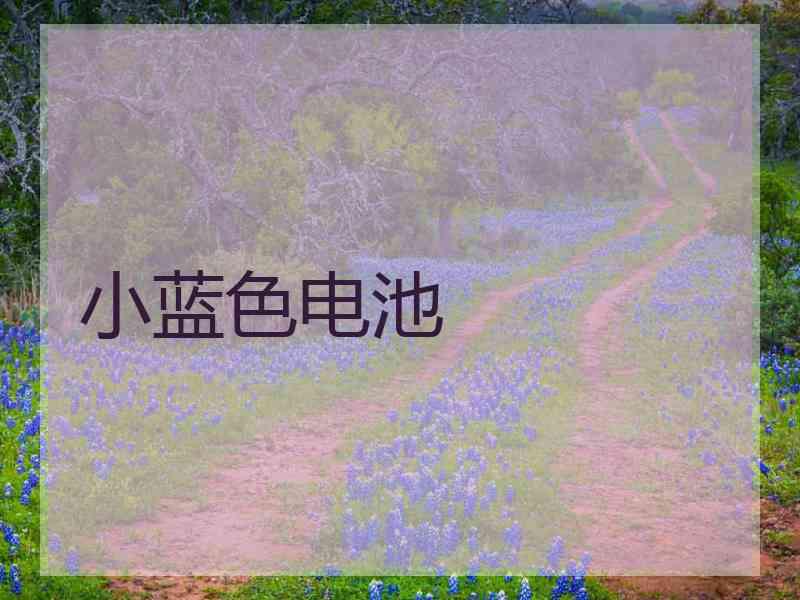 小蓝色电池