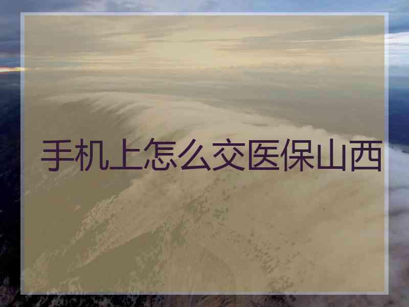 手机上怎么交医保山西