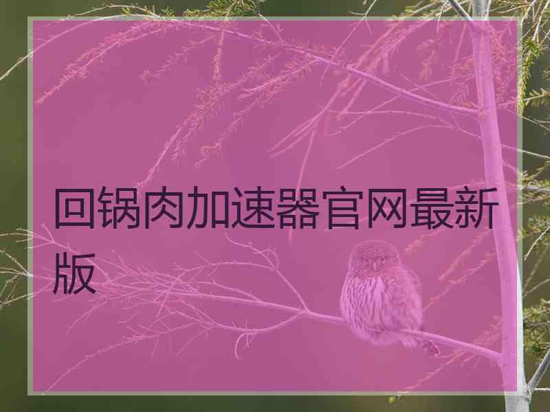 回锅肉加速器官网最新版