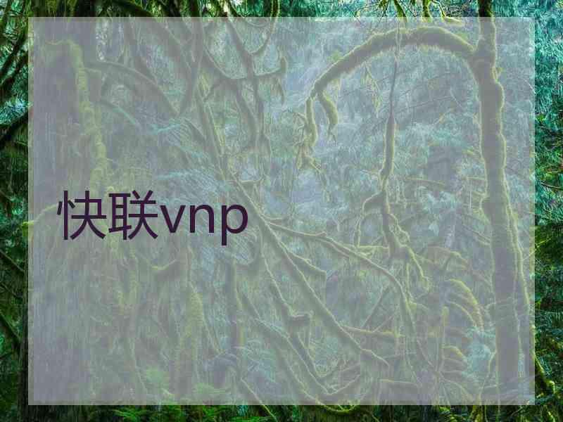 快联vnp