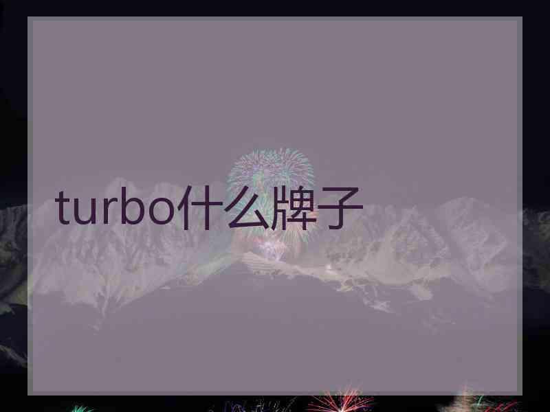 turbo什么牌子