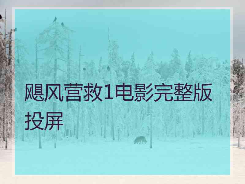 飓风营救1电影完整版投屏