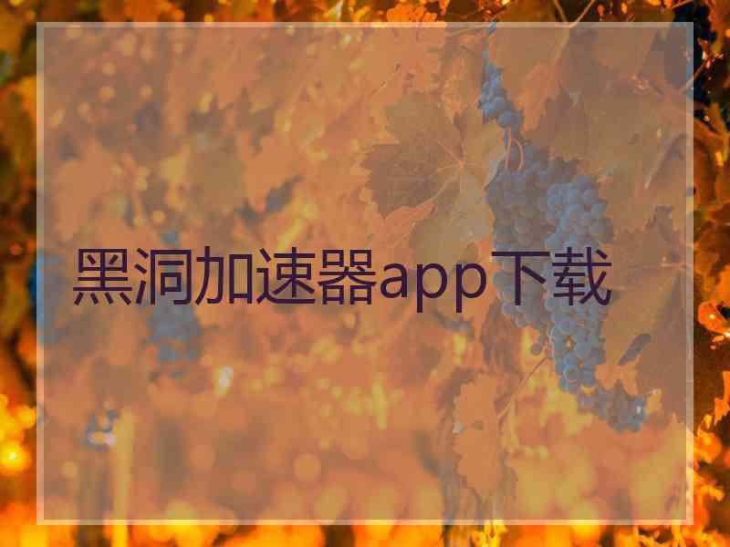 黑洞加速器app下载