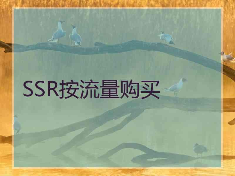 SSR按流量购买