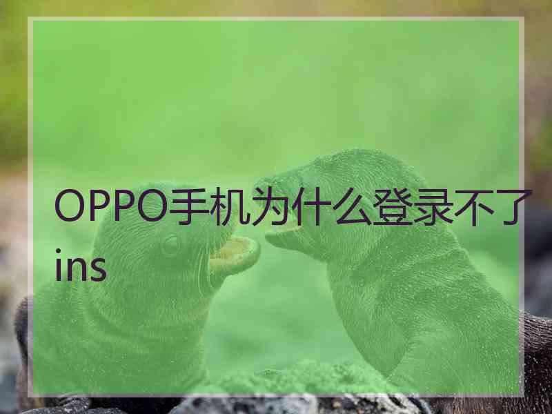 OPPO手机为什么登录不了ins