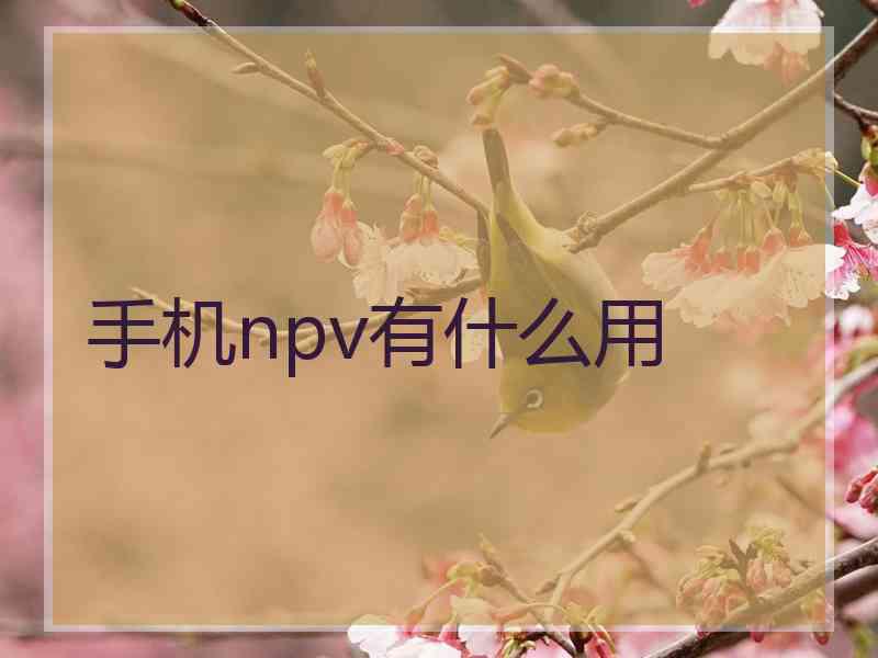 手机npv有什么用