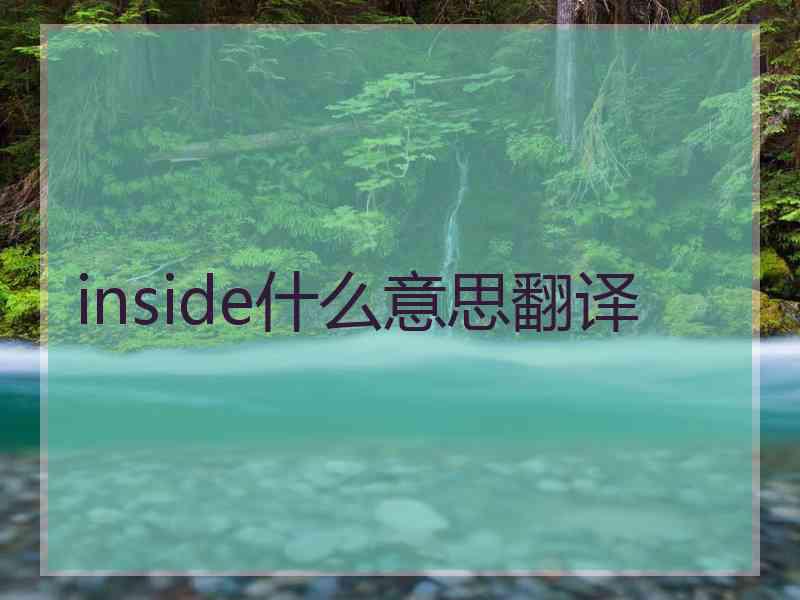 inside什么意思翻译