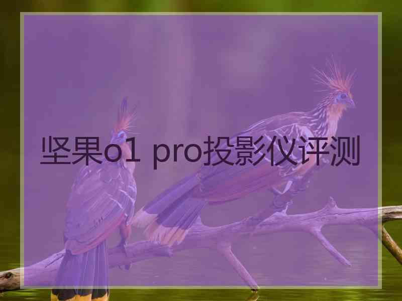 坚果o1 pro投影仪评测