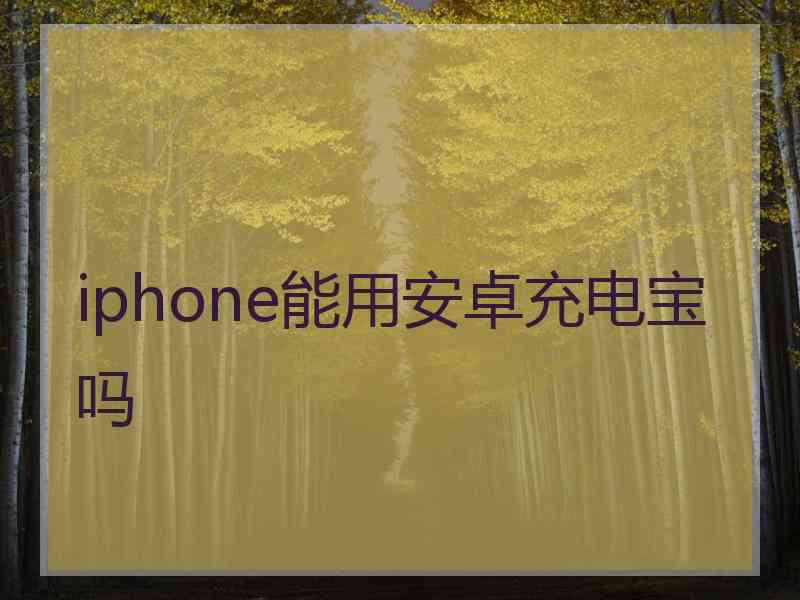 iphone能用安卓充电宝吗