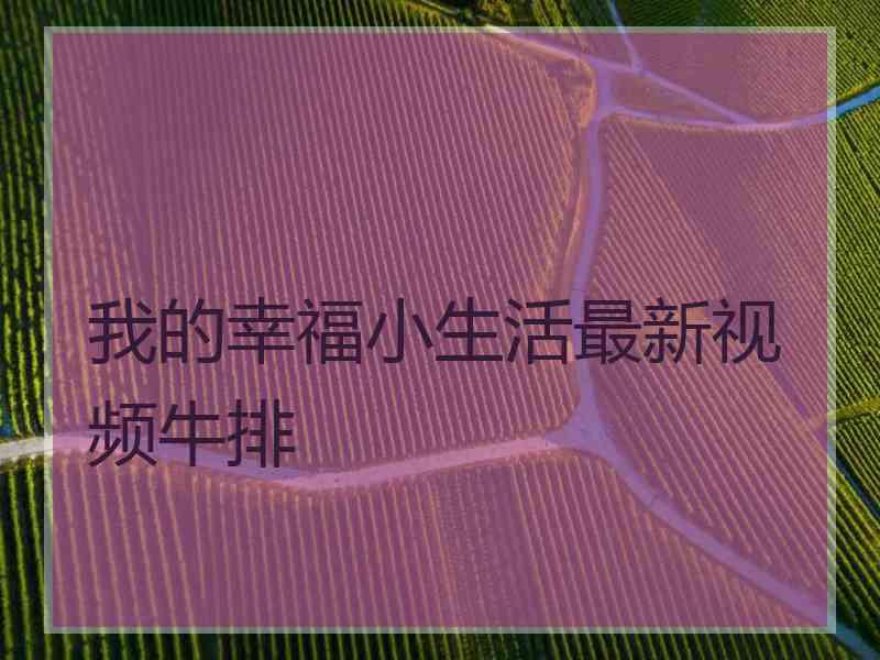 我的幸福小生活最新视频牛排