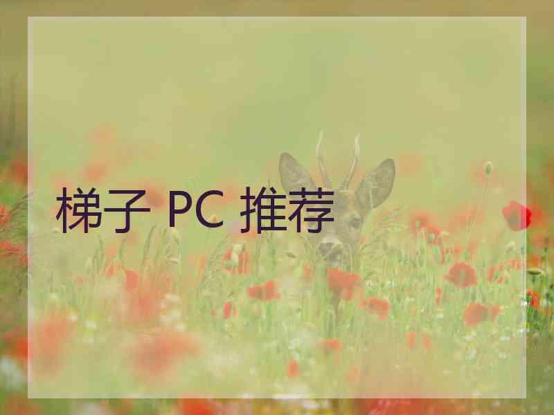 梯子 PC 推荐