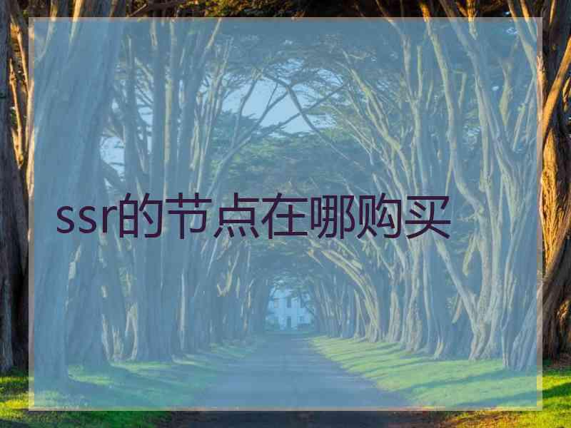 ssr的节点在哪购买