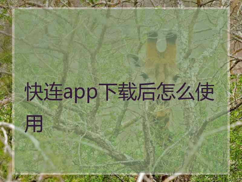 快连app下载后怎么使用