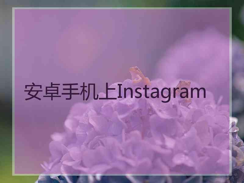 安卓手机上Instagram