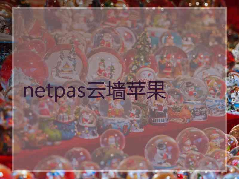 netpas云墙苹果