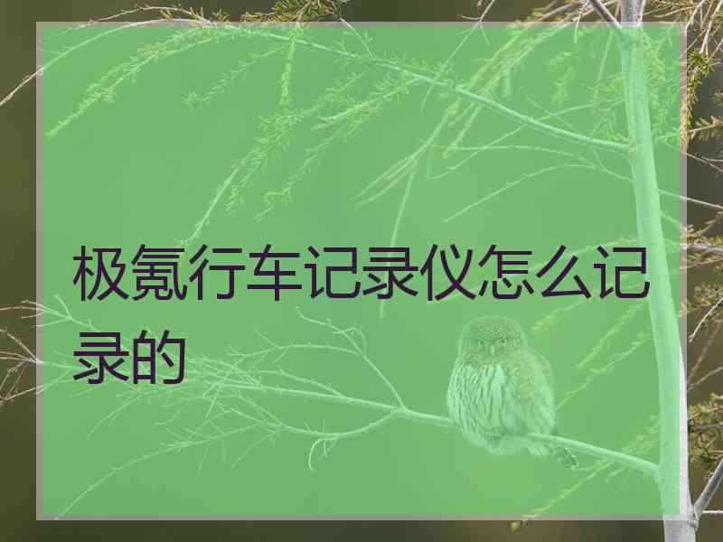 极氪行车记录仪怎么记录的