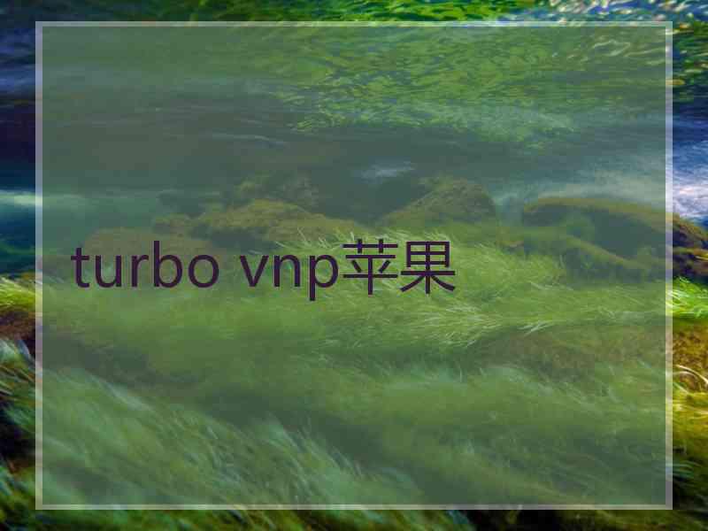 turbo vnp苹果