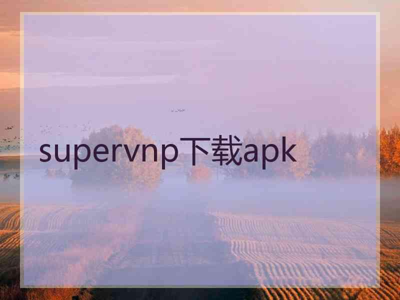 supervnp下载apk