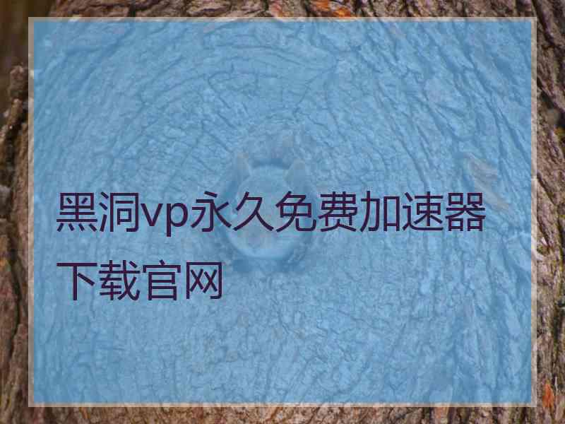 黑洞vp永久免费加速器下载官网