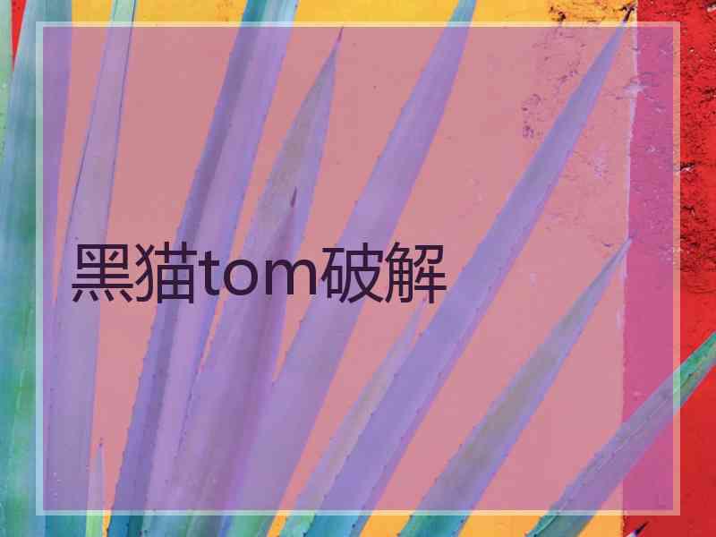 黑猫tom破解