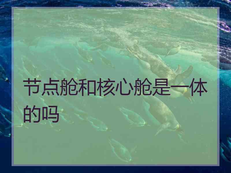 节点舱和核心舱是一体的吗