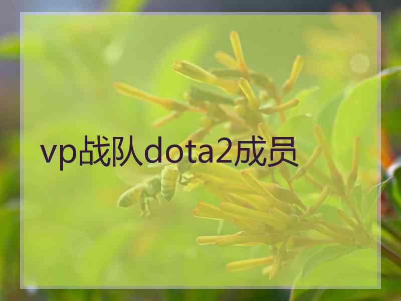 vp战队dota2成员