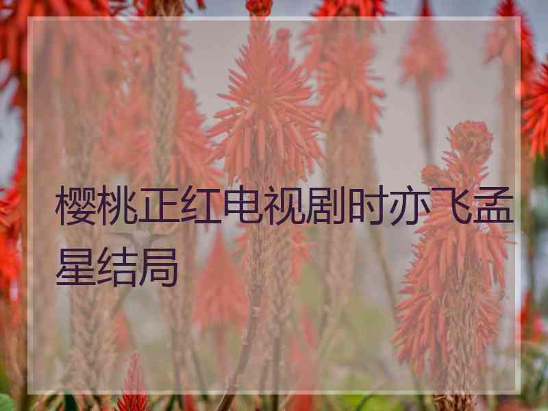 樱桃正红电视剧时亦飞孟星结局