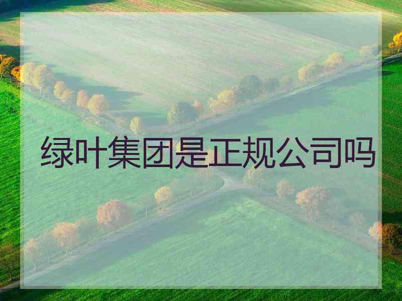 绿叶集团是正规公司吗