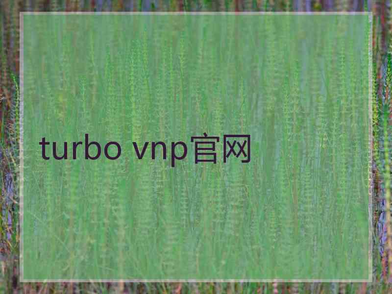 turbo vnp官网