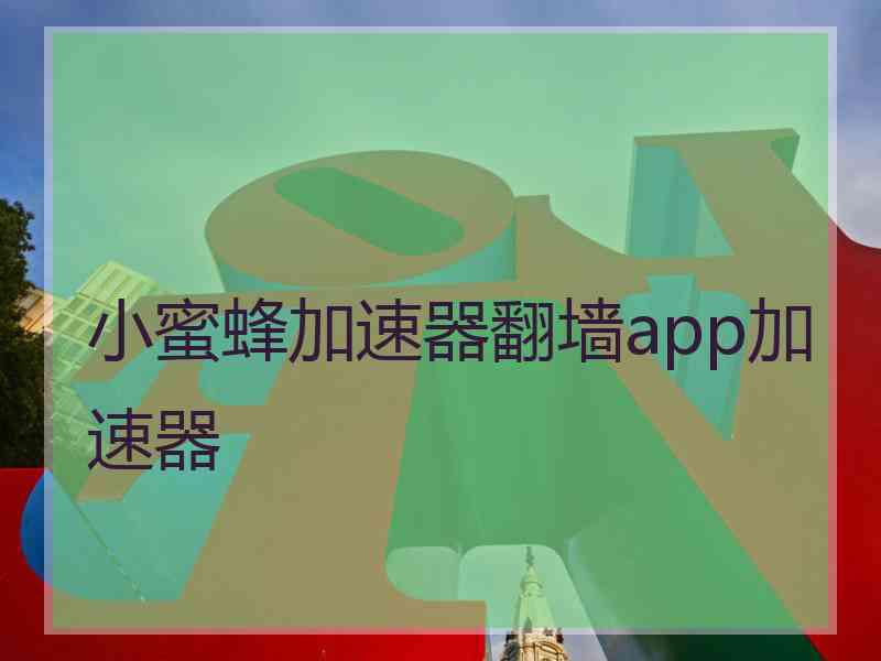 小蜜蜂加速器翻墙app加速器