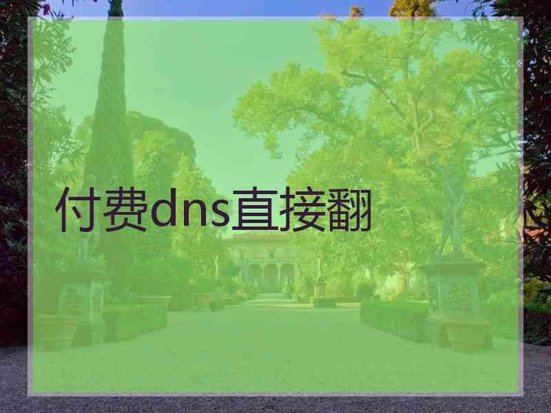 付费dns直接翻