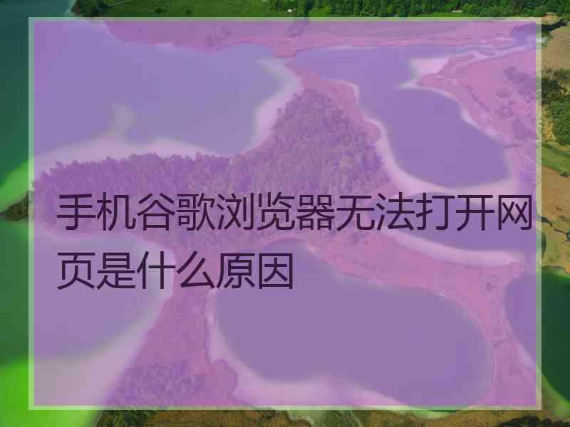 手机谷歌浏览器无法打开网页是什么原因