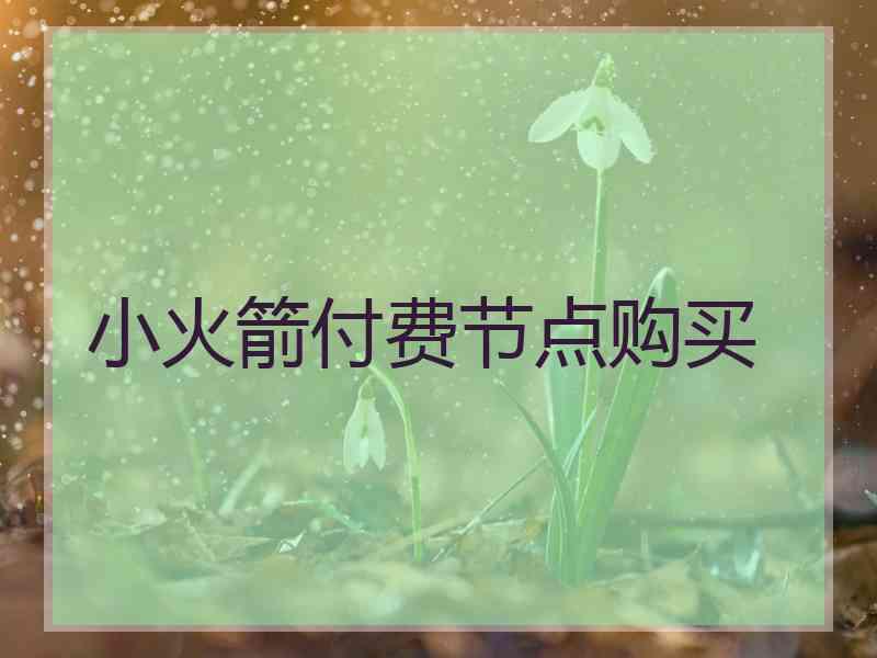 小火箭付费节点购买