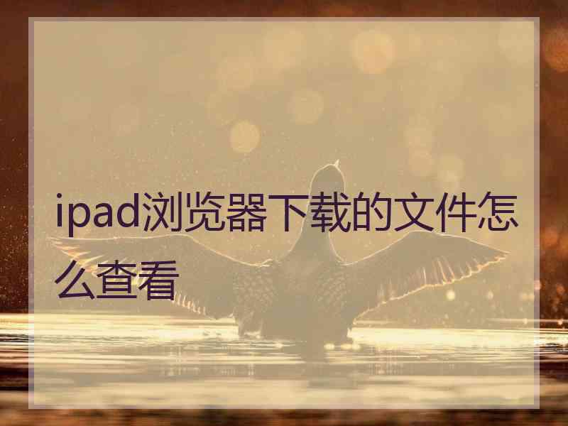 ipad浏览器下载的文件怎么查看