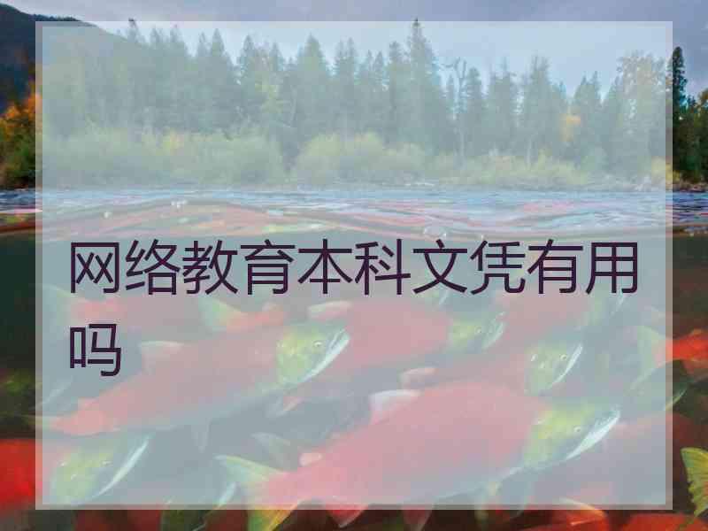 网络教育本科文凭有用吗