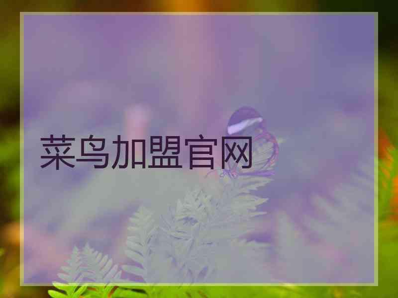 菜鸟加盟官网