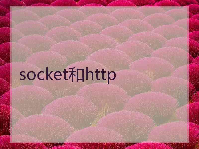 socket和http