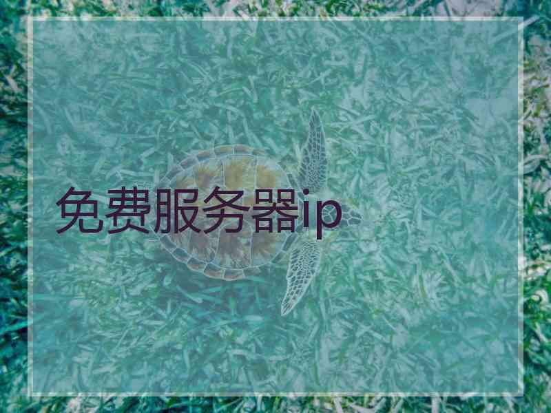 免费服务器ip