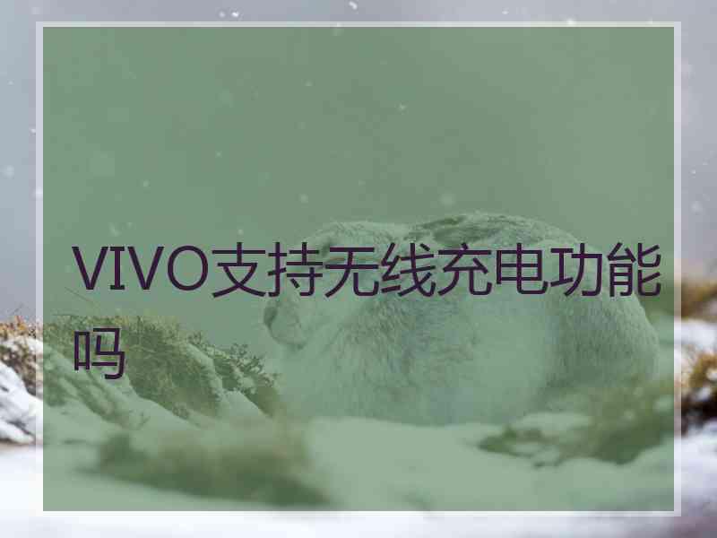 VIVO支持无线充电功能吗