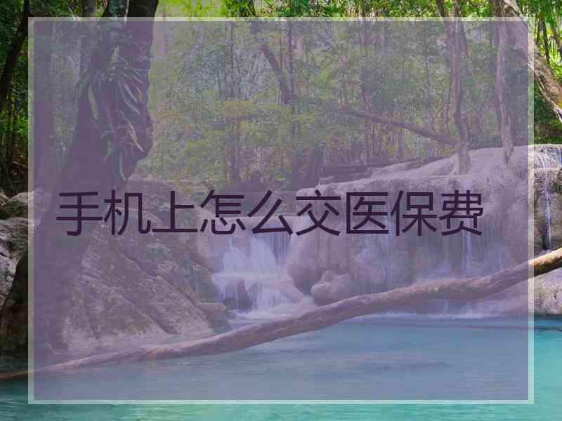 手机上怎么交医保费