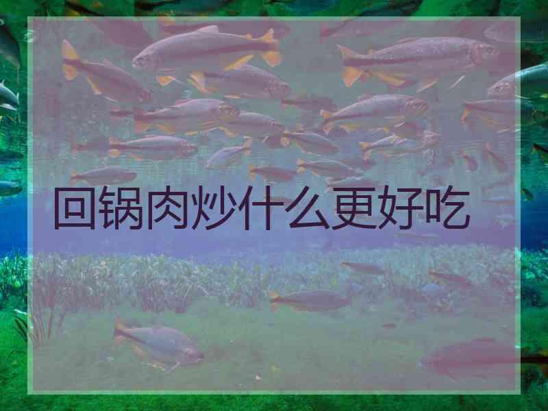 回锅肉炒什么更好吃