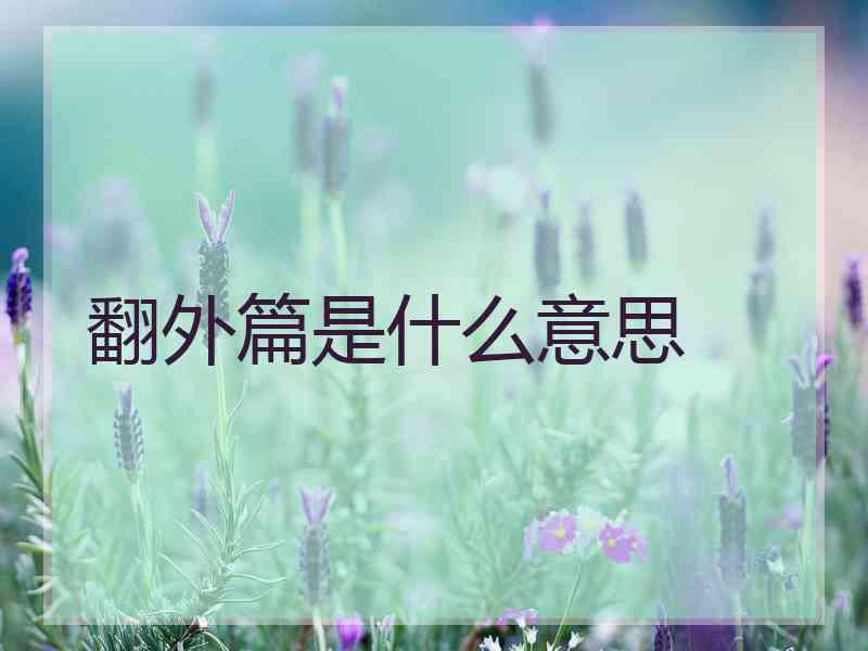 翻外篇是什么意思