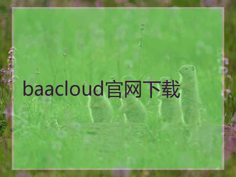 baacloud官网下载