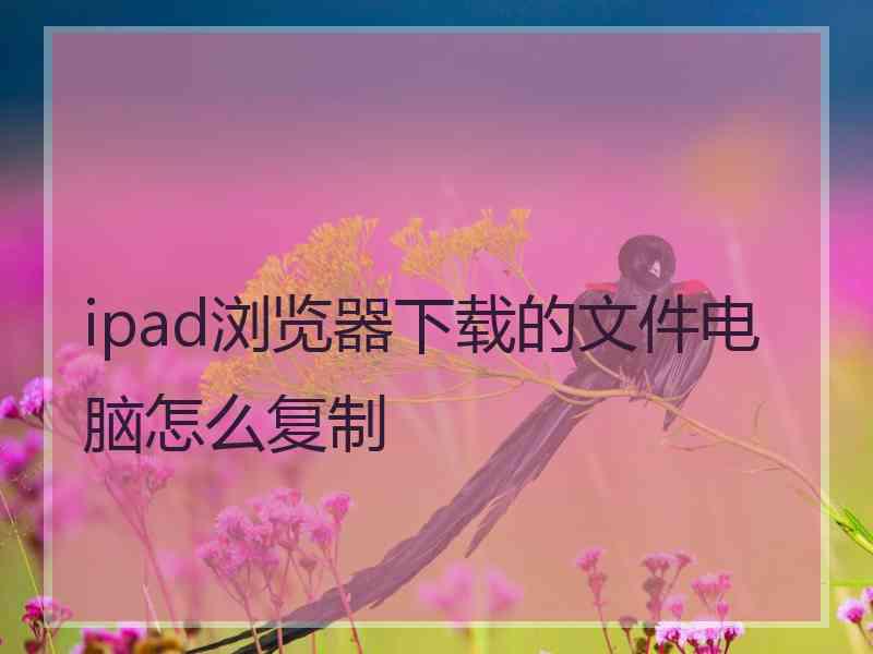 ipad浏览器下载的文件电脑怎么复制